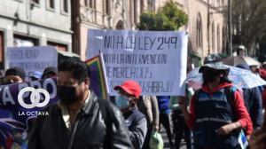 Marcha de gremiales en contra de la Ley. Imagen de Referencia