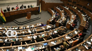 Sesión de la Asamblea Legislativa Plurinacional.