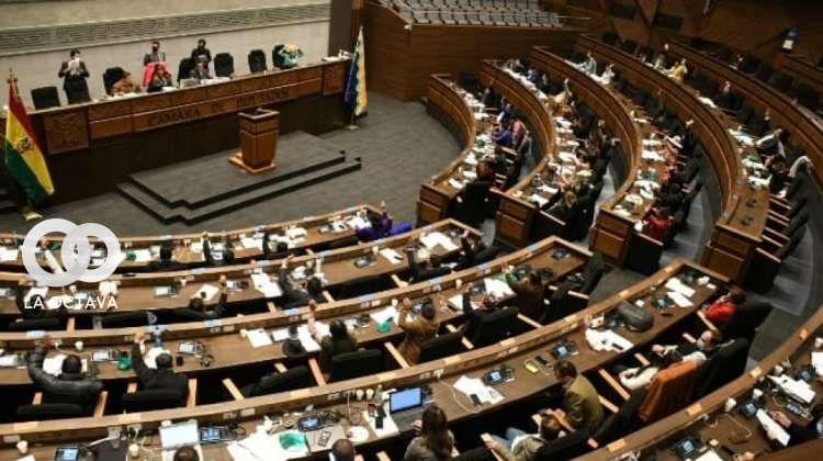 Sesión de la Asamblea Legislativa Plurinacional.