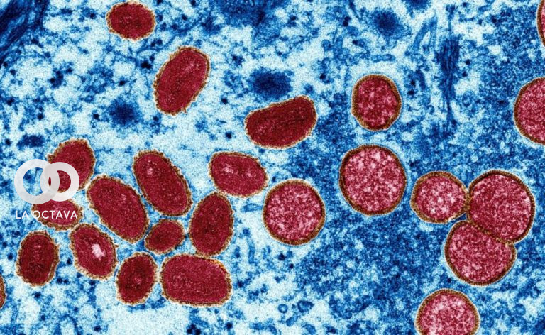 Virus de la viruela del mono