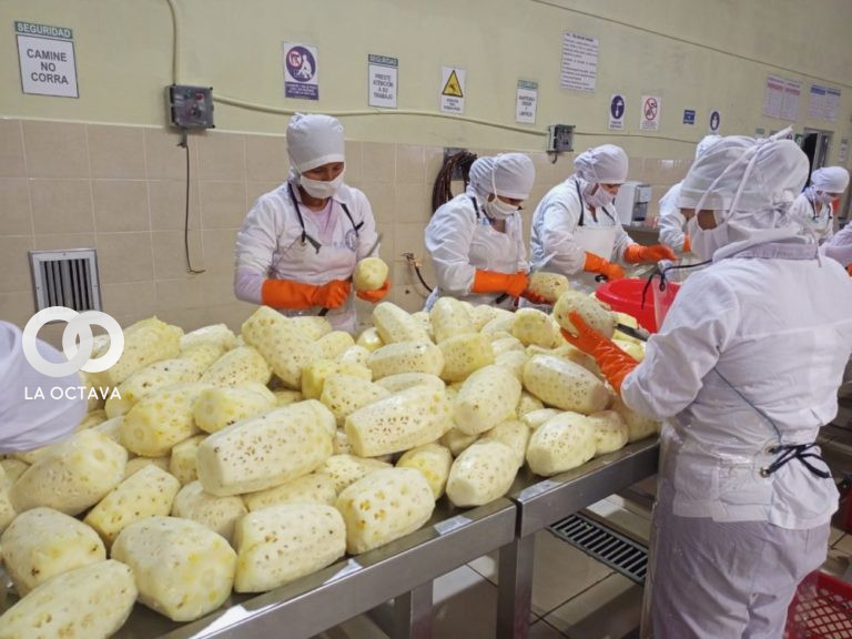 Planta procesadora de piña del municipio de Ivirgarzama
