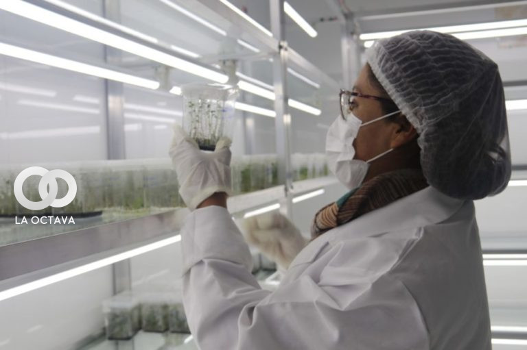 Centro Biotecnológico de Semilla de Papa del Instituto Nacional de Innovación Agropecuaria y Forestal (INIAF)
