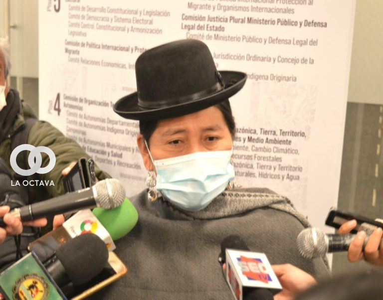 Hilda Condori, Diputada de (MAS-IPSP)