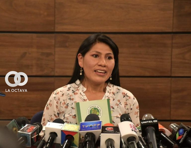 Amanda Iriarte, Diputada (MAS-IPSP)