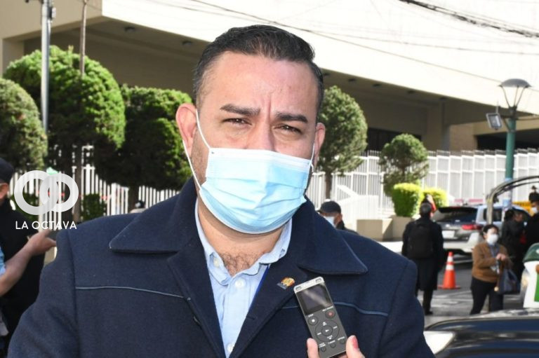 Ányelo Céspedes, Diputado (MAS-IPSP)