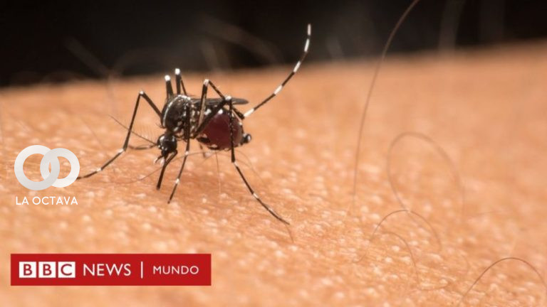 Enfermedades tropicales con graves consecuencias para la salud