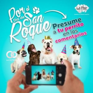 Alcaldía lanza una actividad a sus seguidores