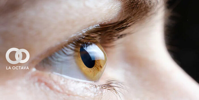 Científicos implantan corneas