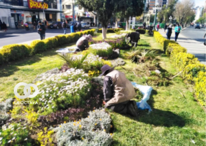 Personal de Emaverde refacciona parques