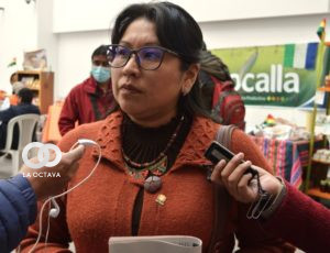 Gladys Quispe, Diputada del MAS.