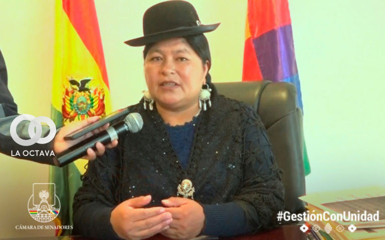 Senadora pide no politizar al Censo