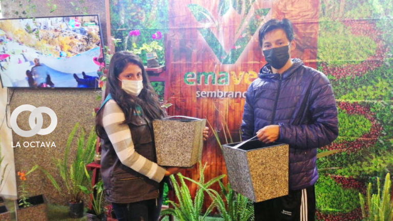 Empresa Municipal de Áreas Verdes, Parques y Forestación (EMAVERDE)