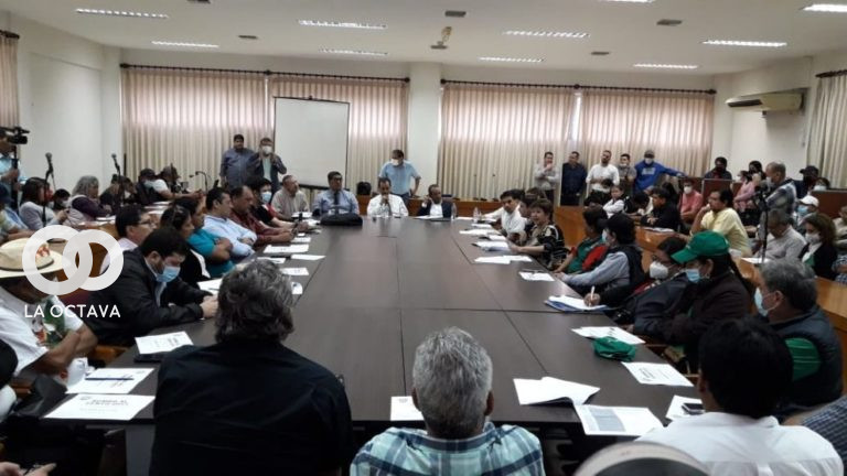 Comité Interinstitucional Impulsor del Censo de Santa Cruz