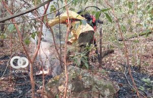 Bomberos y voluntarios luchan por apagar incendios en Roboré