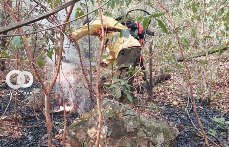 Bomberos y voluntarios luchan por apagar incendios en Roboré