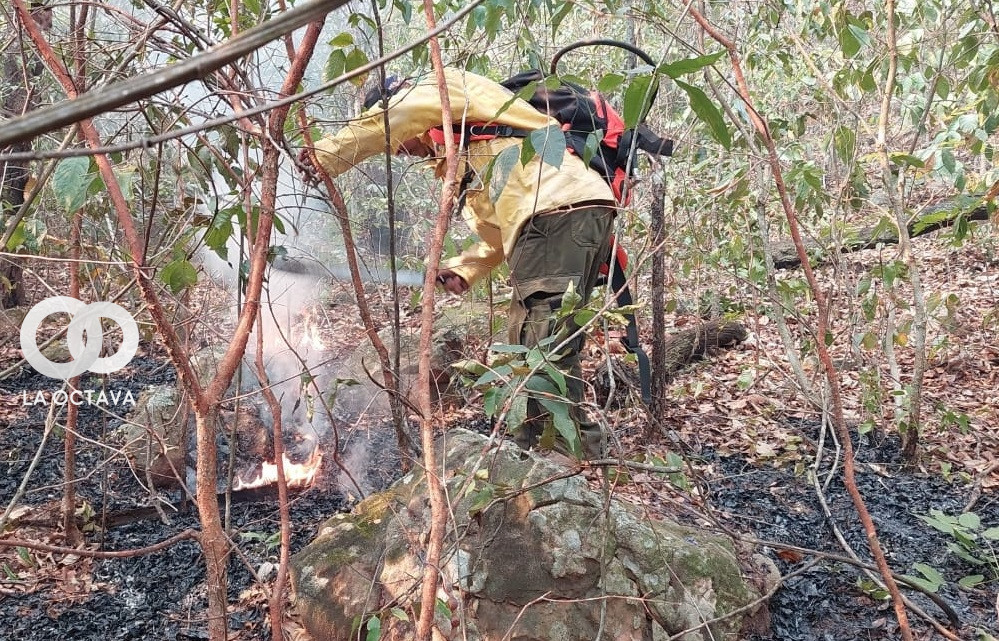 Bomberos y voluntarios luchan por apagar incendios en Roboré