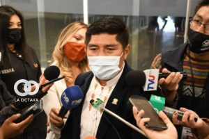 Hernán Hinojosa, Diputado del Movimiento Al Socialismo (MAS-IPSP)