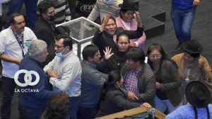 ELECCION DEL NUEVO DEFENSOR DEL PUEBLO ASAMBLEA LEGISLATIVA PLURINACIONAL