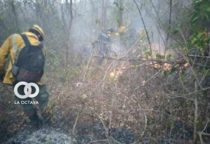 Focos de incendio en municipios de Santa Cruz.