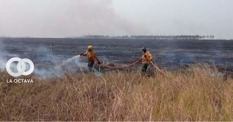 24 incendios activos, registrados en los departamentos de Santa Cruz, Beni, Tarija y Chuquisaca