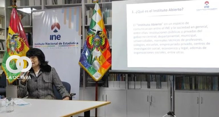 INE habilita plataforma para propuestas. Foto. ABI