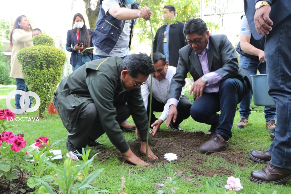 Ministerio de Educación inicia con la plantación de especies en su jardín.