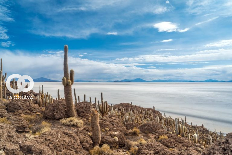 Paisaje del Salar Uyuni.