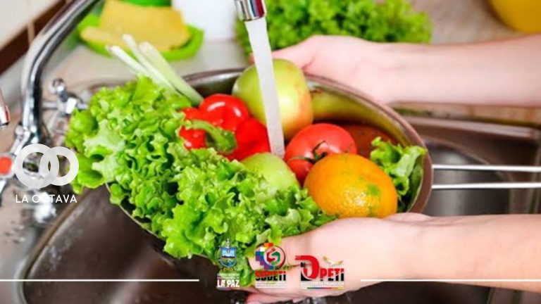 “Toxicidad de aditivos y contaminantes presentes en los alimentos”- Foto.: Facebook SDDETI.