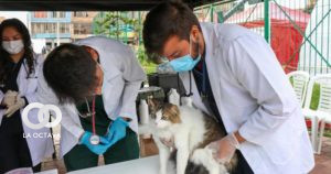 Casa de la Mascota vacuna contra la rabia a animales domésticos.