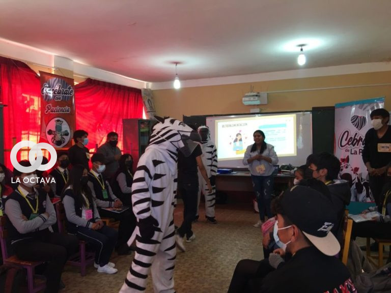 Cebras brindan orientación a estudiantes.