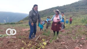 Ministro de Desarrollo Rural entrega semillas de papa.