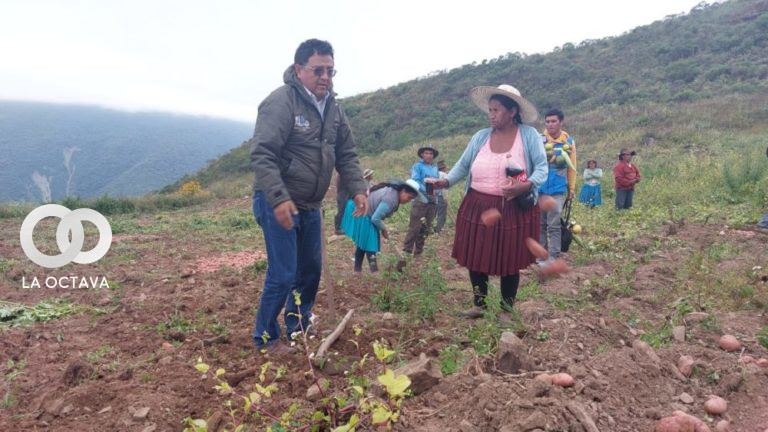 Ministro de Desarrollo Rural entrega semillas de papa.