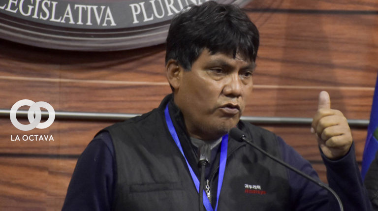 Héctor Arce, Diputado del Movimiento Al Socialismo (MAS-IPSP)