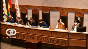 Cámara de Senadores. Foto. Cámara de Senadores
