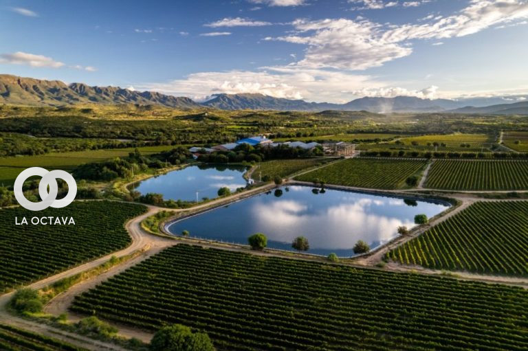 Campos de Solana y Casa Real, llevarán a cabo el Encuentro Pro-Uva-