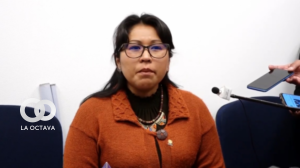 Diputada del MAS Gladys Quispe. Foto. Cámara de Diputados
