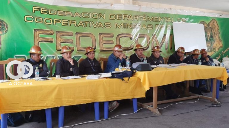 Federación Departamental de Cooperativas Mineras (FEDECOMIN)