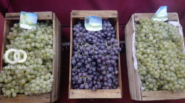 Representante de los productores de uva de El Valle