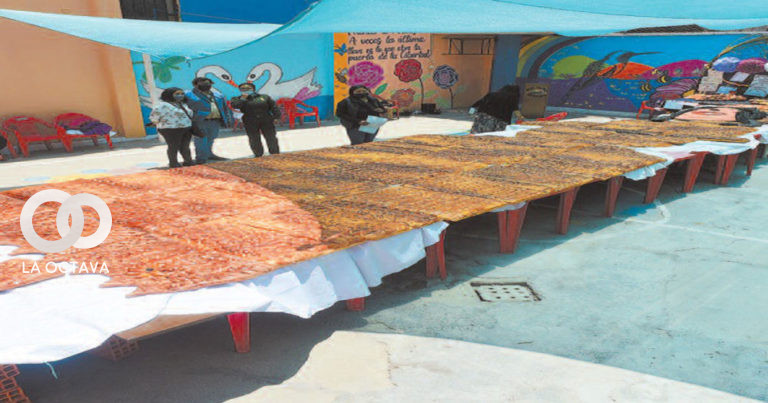 La t’antawawa gigante en homenaje a Remedios Loza. Foto. Rodwy Cazón.