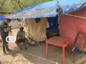 Misión conjunta va a Tarija por el brote de leishmaniasis.