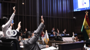 Voto de senadores. Foto. Cámara de Senadores