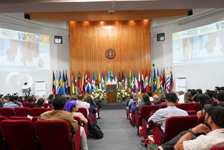 II Confernecia de Agricultura Familiar del Mercosur.