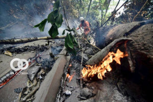 Incendios en Los Yungas
