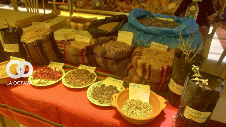 Implementación de Áreas de Reserva con Cobertura Vegetal Altoandina