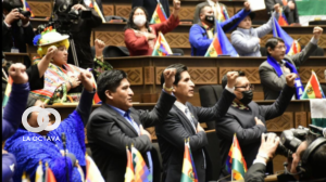 Legisladores del MAS en el Parlamento.