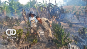Los pobladores se dieron modos para sofocar los incendios en los Yungas. Foto. RRSS
