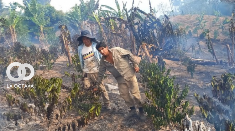Los pobladores se dieron modos para sofocar los incendios en los Yungas. Foto. RRSS