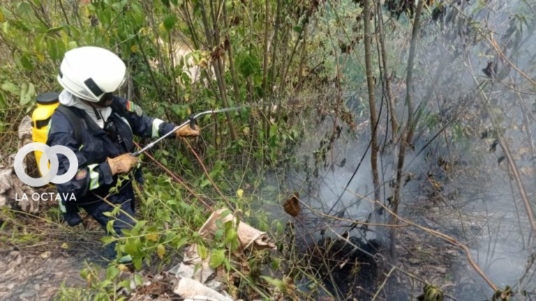 Guardaparques de la Secretaría Municipal de Gestión Ambiental y Energías Renovables