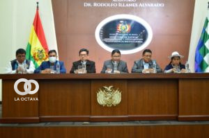 Comisión de Protección a Pueblos Indígenas Originarios en Situación de Vulnerabilidad.