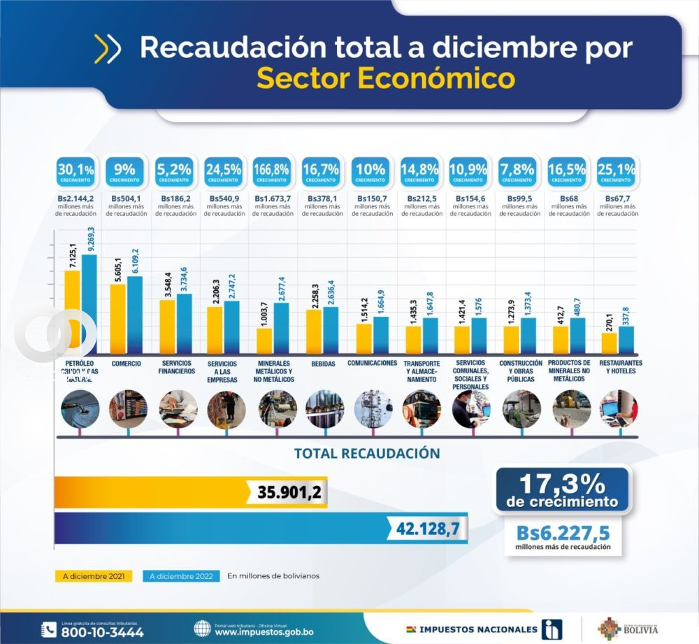 Informe de recaudación tributaria en Bolivia